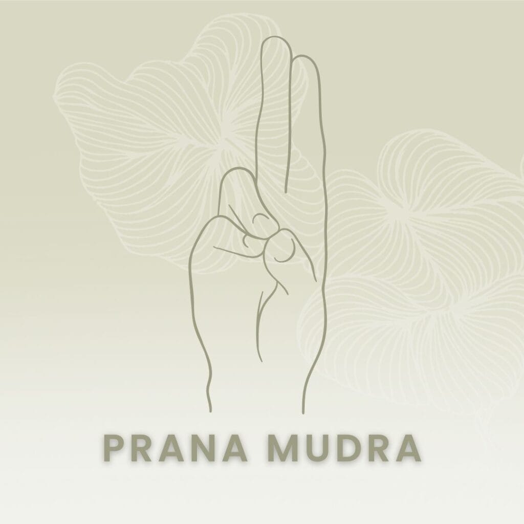 prana
