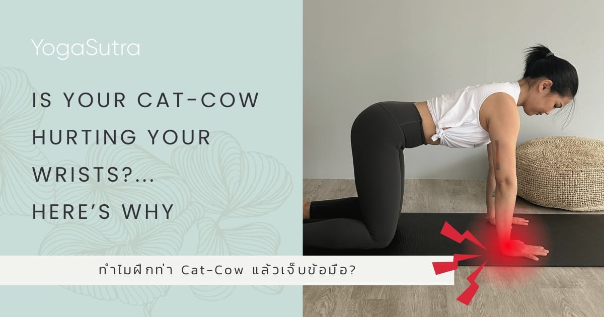 Cat-Cow Pose